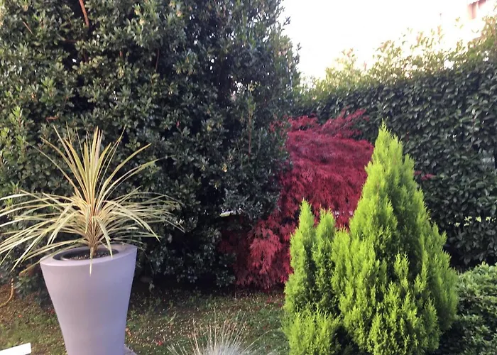 Residenza Il Fiore Oda ve Kahvaltı