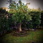 Residenza Il Fiore Bed & Breakfast