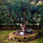 Residenza Il Fiore
