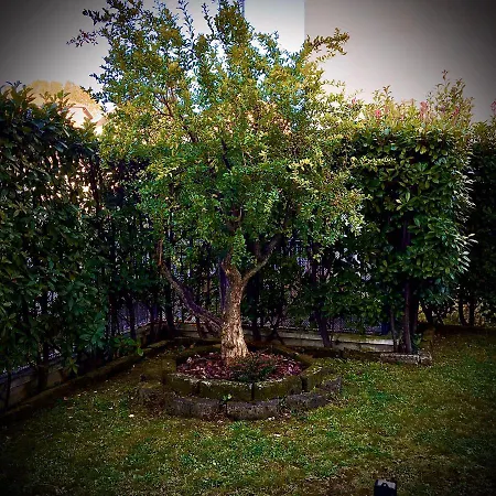 Residenza Il Fiore ベッド・アンド・ブレックファスト