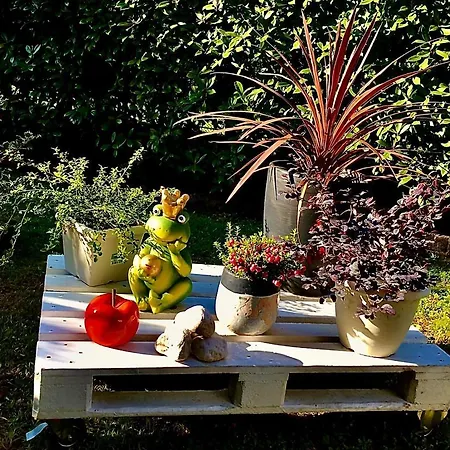 Residenza Il Fiore 4* 베르가모