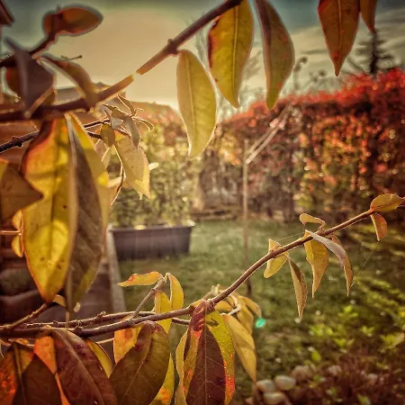 Residenza Il Fiore 4*