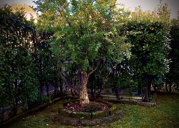 Residenza Il Fiore לינה וארוחת בוקר