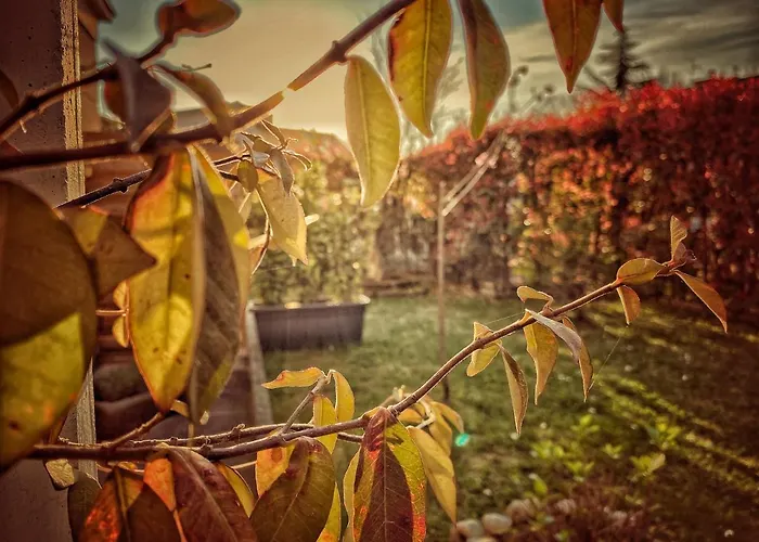 Residenza Il Fiore 4*