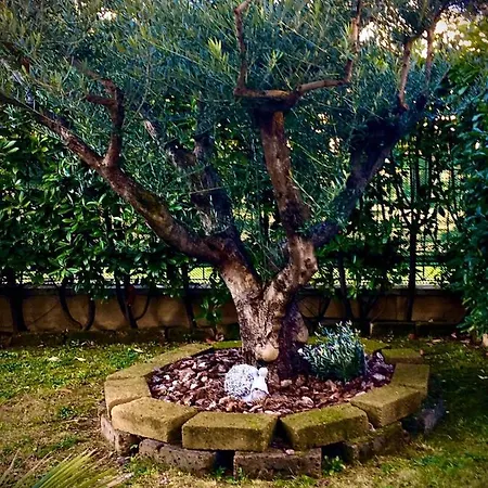 Residenza Il Fiore